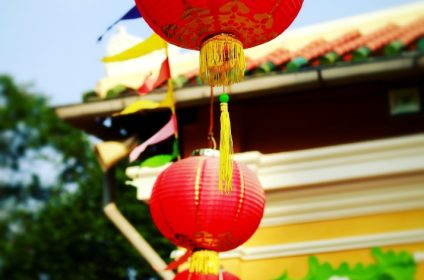 nam-nha-pagoda-in-can-tho-900000-mekong-delta-scenery