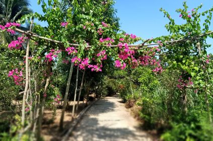 phoenix-island-in-ben-tre-930000-mekong-delta-garden