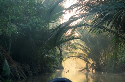 phong-dien-floating-market-in-can-tho-900000-mekong-delta-scenery