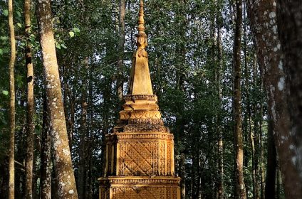 phu-ly-khmer-buddhist-temple-in-vinh-long-890000-mekong-delta-stupa