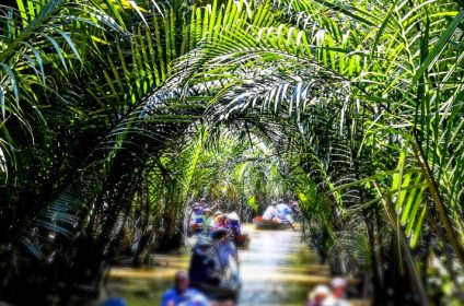 thoi-son-island-in-tien-giang-840000-mekong-delta-rowing-boat