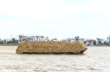 thoi-son-island-in-tien-giang-840000-mekong-delta-scenery